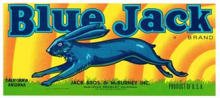 Old Crate Label Blue Jack Rabbit Vintage 1940s Hare California Arizona