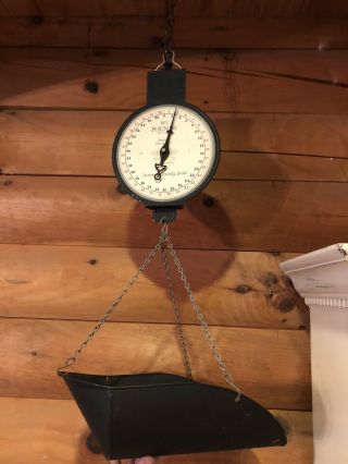 Vintage Antique American Family Scale 10/29/1912 Hanging Scale 60 Lbs Produce