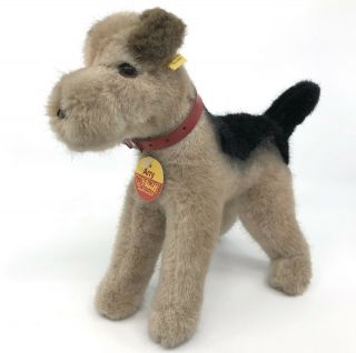 Steiff Arry Airedale Terrier Dog Plush 21cm 8in Id Button Tags 1977 - 81 Vintage