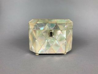 19th Century Mother Of Pearl Tea Caddy
