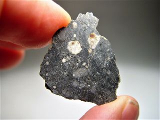 Full Slice Magnificent Nwa 11228 Lunar Meteorite 2.  634 Gms