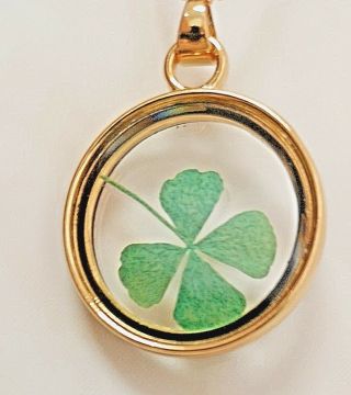 Lucky Real 4 Leaf Clover Gold Pendant St Patricks Day 17th March Ireland Party