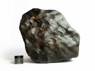 Nwa X Meteorite 644g Colossal Chondrite With Character