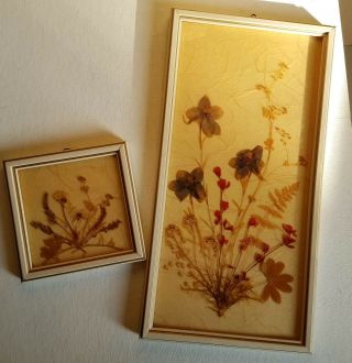 Two Vintage Dried Pressed Flower Framed Arrangement Dina Made In Germany