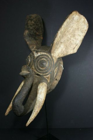 Large African Elefhant mask - BOBO,  BWA - Burkina Faso TRIBAL ART,  PRIMITIF 3