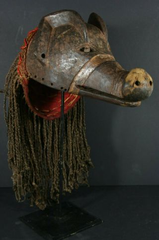 African Ngulu Pig Mask - Chokwe Tribe,  D.  R.  Congo,  African Tribal Art Primitif