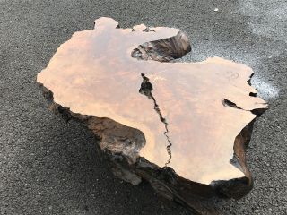 Burl Wood Base Vintage 1960s 70s Coffee Table Mid Century Modern/43 Inches Long