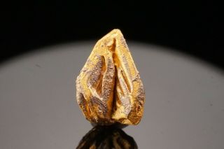 RARE Native Gold var.  Porpezite Crystal & Native Palladium URIMAN,  VENEZUELA 2