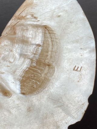 Old Aboriginal Pearl Shell Pendant - Kimberley 