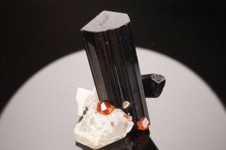 Spessartine Garnet & Schorl Tourmaline Crystal Little 3 Mine,  California