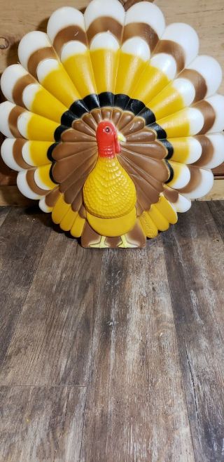 VTG,  Don Featherstone,  Turkey Blow Mold Light,  Union Products,  Thanksgiving Decor 2