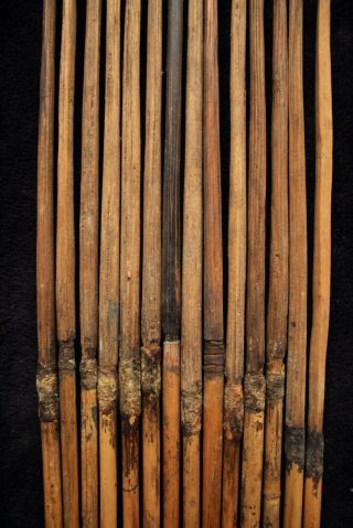 Group Of 14 Hunting Arrows - Papua Guinea