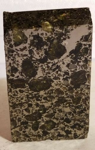 52 Grams Seymchan Pallasite Meterorite (reviewed And Authenticated With)