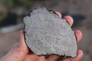 Muonionalusta Meteorite Etched Full Slice 122.  9 Grams