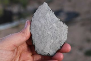 Muonionalusta meteorite etched full slice 122.  9 grams 2