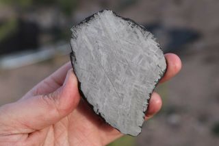 Muonionalusta meteorite etched full slice 122.  9 grams 3