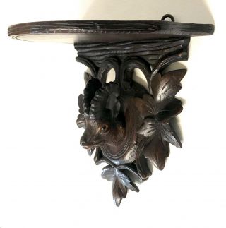 Stunning Antique Black Forest Ibex Head Bust Carved Wall Clock Bracket
