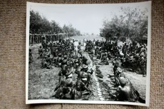1 Large Photographs 1940s Depicting A Moga Ceremony In The Png Highlands