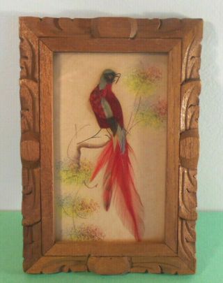 Vtg Mexican Feathercraft Framed Hand Painted Real Feather Bird Picture Folk Art