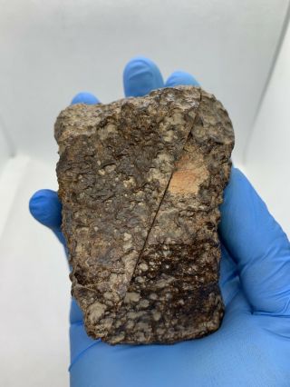 Meteorite Nwa,  Unclassified 595.  90 Grams,  Individual