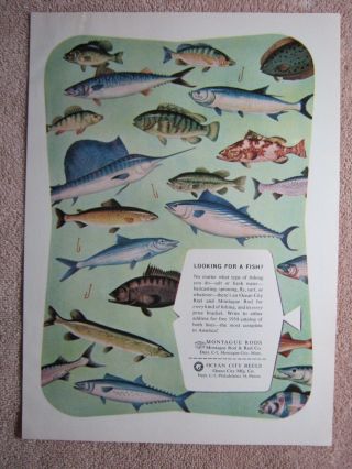 Vintage 1954 Montague Rods Ocean City Reels Sport Fish Fishing Print Ad