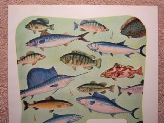 Vintage 1954 Montague Rods Ocean City Reels Sport Fish Fishing Print Ad 2