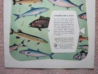 Vintage 1954 Montague Rods Ocean City Reels Sport Fish Fishing Print Ad 3