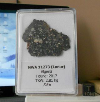 Meteorite NWA 11273 (Lunar) - 7.  9 g 3