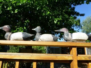 3 Vintage San Francisco Bay Area Decoys 2 Canvasback Drakes And A Blue Bill