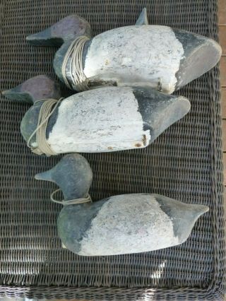 3 VINTAGE SAN FRANCISCO BAY AREA DECOYS 2 CANVASBACK DRAKES AND A BLUE BILL 2