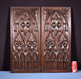 Large French Antique Gothic Revival Panels In Oak Wood Salvage