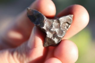Sikhote Alin Meteorite Individual 16.  8 Grams