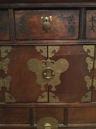 CHINESE MEDICINE CABINET CHEST CALLIGRAPHY 2