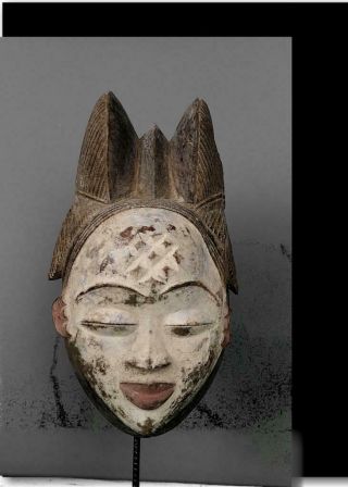 Outstanding Tribal Punu Okuyi Mask - - Gabon