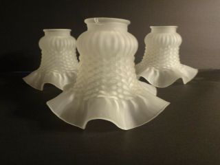 3 Vintage Light Fixture Frosted Glass Ruffle Shades Ceiling Fan Sconce Pendant
