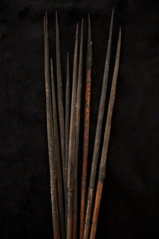 Group Of Eleven Old And Hunting Arrows - Papua Guinea