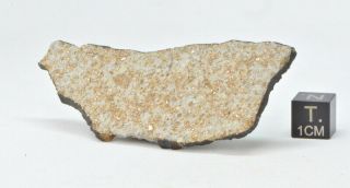 Meteorite Ghdamis Libya Fall Aug.  26,  2018 Chondrite L5 Or 6 Weight 12.  67 G