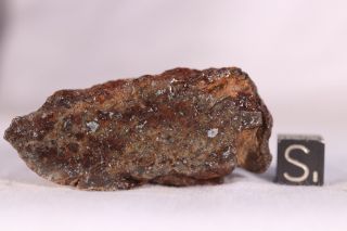 Gold Basin Meteorite End Cut 36.  3 Grams