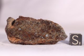 Gold Basin meteorite end cut 36.  3 grams 2