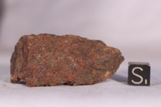Gold Basin meteorite end cut 36.  3 grams 3