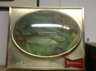 Vintage Vtg Lighted 3d Rainbow Trout Fishing Light Budweiser King Of Beers Sign