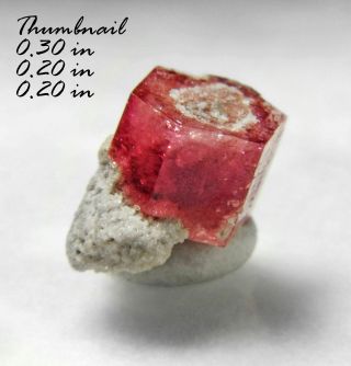 Red Beryl (bixbite) On Matrix Thomas Range Utah Minerals Crystals Gem - Min