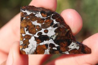 Sericho Meteorite Pallasite From Kenya Part Slice 7.  6 Grams
