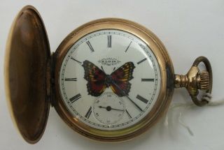 Elgin 6 Size Hunting Case Butterfly Dial 7 Jewel 1910 Pocket Watch Runs Lw035