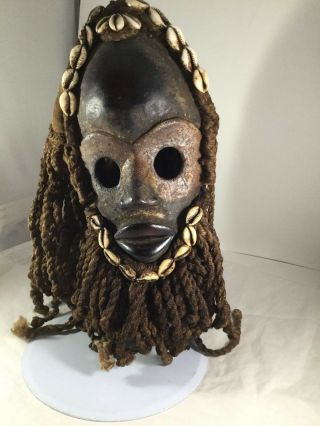 Africa Dan Tribe Mask Shells Wood Hand Carved