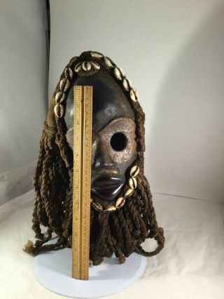 Africa Dan Tribe Mask Shells wood hand carved 2
