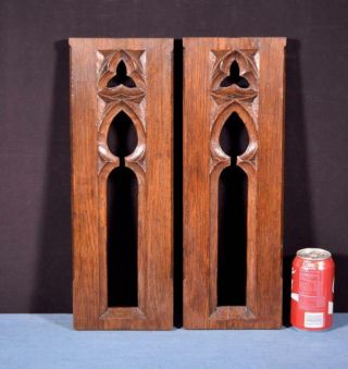 French Antique Gothic Revival Panels In Oak Wood Salvage