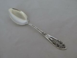 Vintage Sterling Silver Sequoia National Park Souvenir Spoon