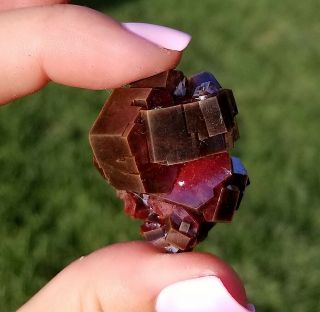 Lustrous Large Black Cherry Red Vanadinite Crystals On Matrix From Morocco (: 2