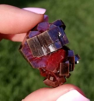 Lustrous Large Black Cherry Red Vanadinite Crystals On Matrix From Morocco (: 3